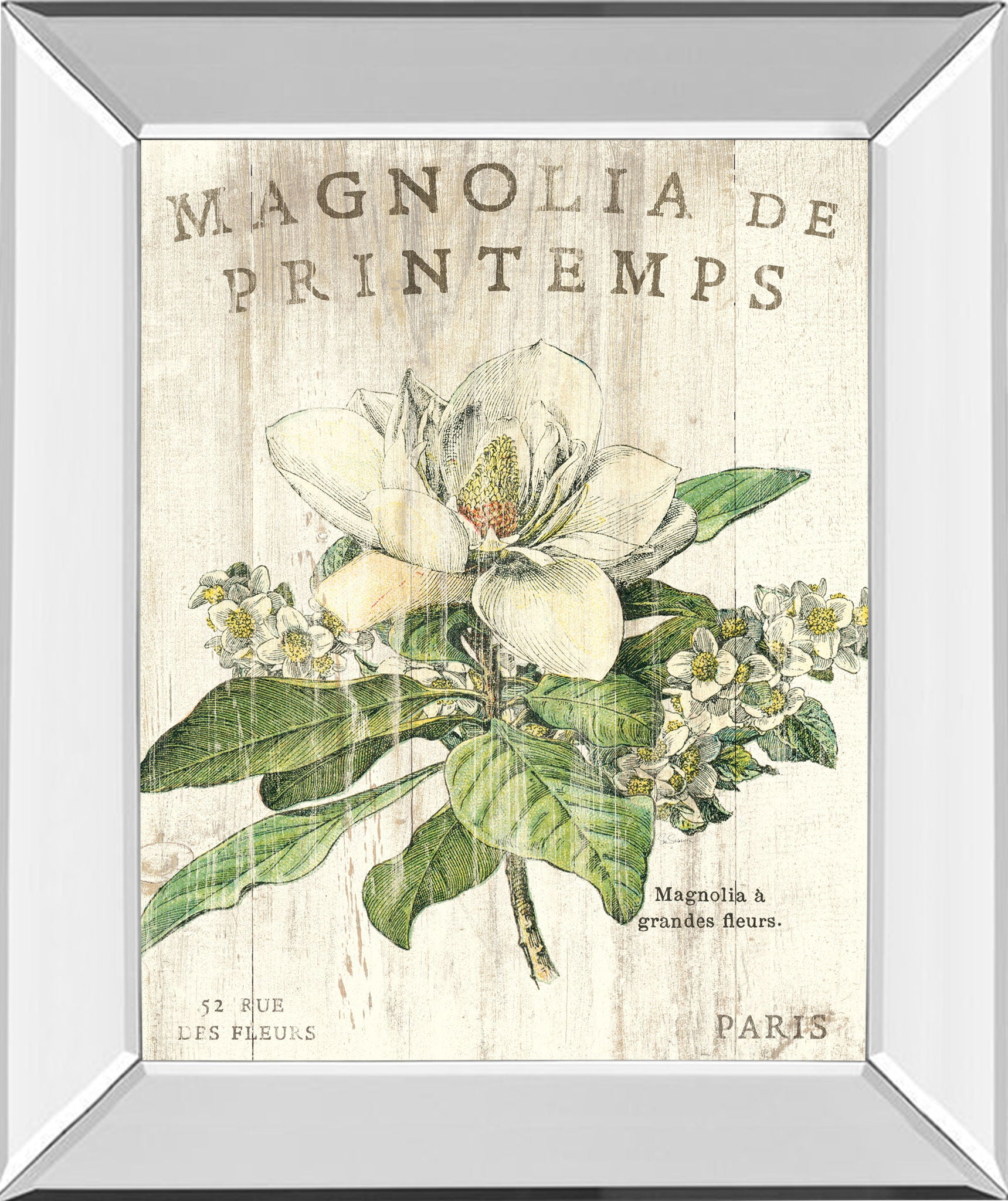 Magnolia De Printemps By Sue Schlabach - Mirror Framed Print Wall Art - Beige